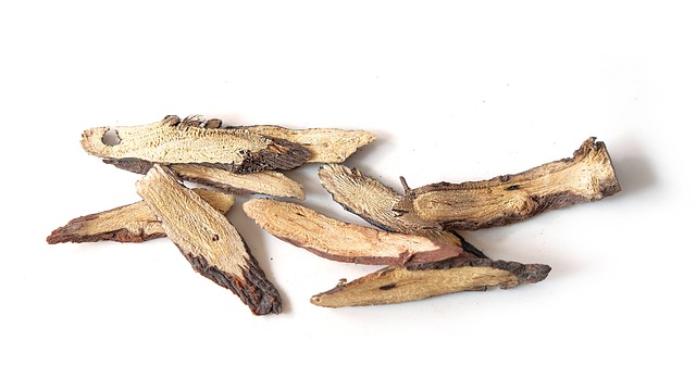 Glycyrrhiza glabra Image