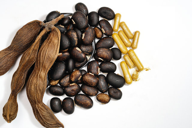 Mucuna pruriens Image